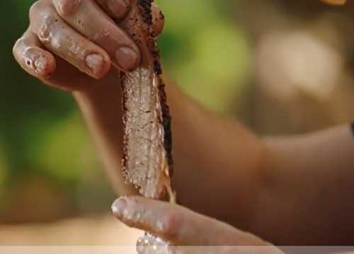 Brisket