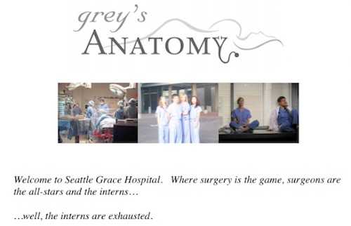 Grey's anatomy case study