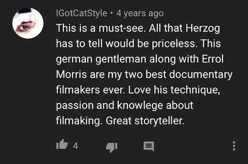 A comment on Werner Herzog's MasterClass