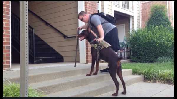 Brandon McMillan training a Vets dog