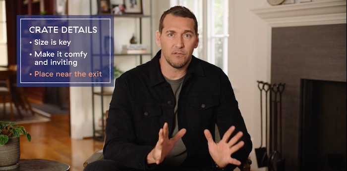 Brandon McMillan's dog training advice