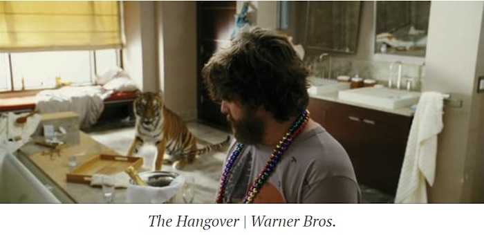 Brandon McMillan's tiger in The Hangover