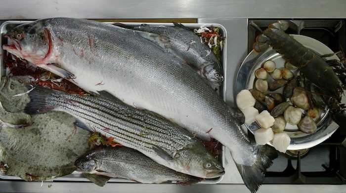 Gordon Ramsay teaching cooking fish in his MasterClass