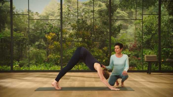 MasterClass Presents Donna Farhi Teaches Yoga Foundations (2021) Television