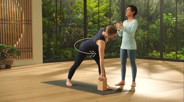 MasterClass Presents Donna Farhi Teaches Yoga Foundations (2021) Television