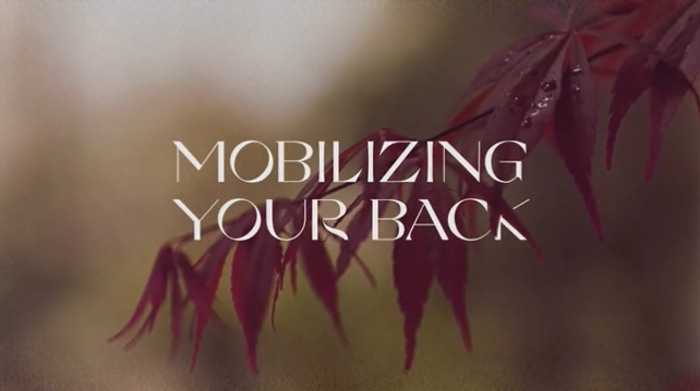 Mobilizing your back