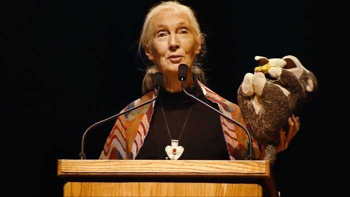 Jane Goodall giving a lecture