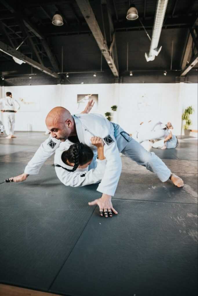 Learn Brazilian Jiu jitsu online