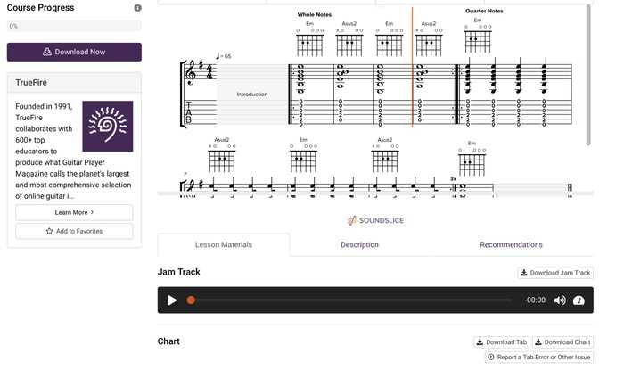 TrueFire guitar notes