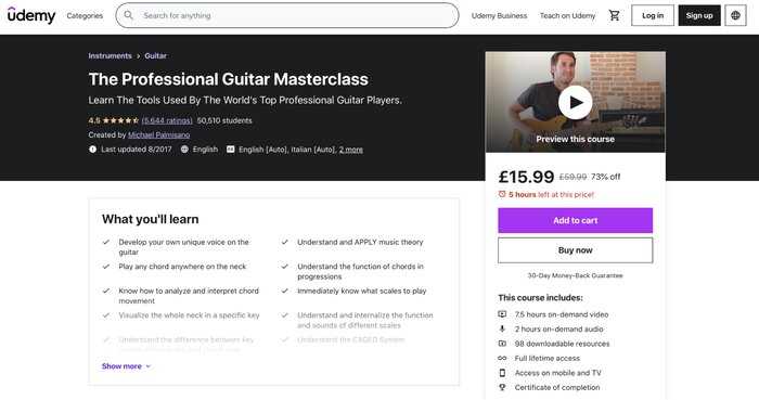 Udemy professional guitar master