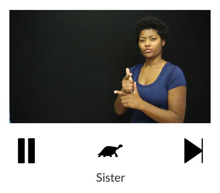 SignSchool sign language app