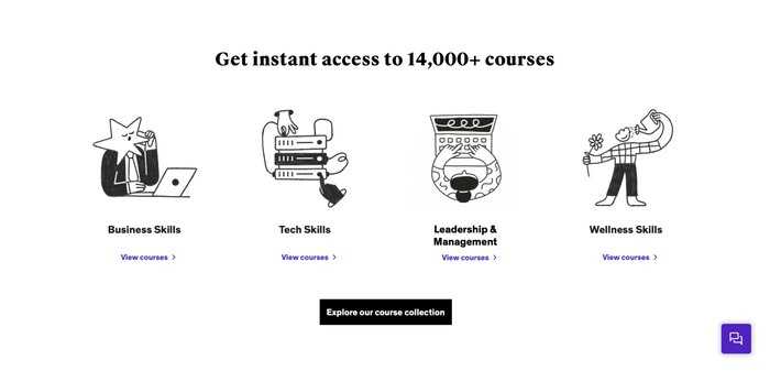 Udemy business courses