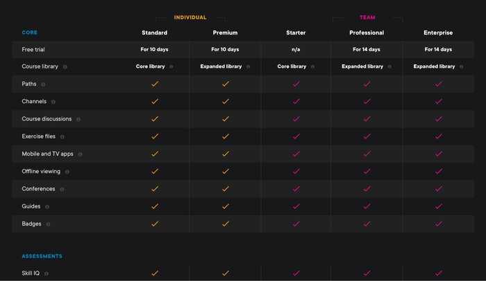 How does Pluralsight work