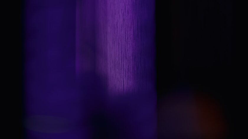 Lingoda Black Friday Discount FAQ