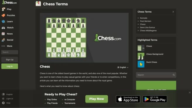 10 Best Online Chess Courses - Learnopoly