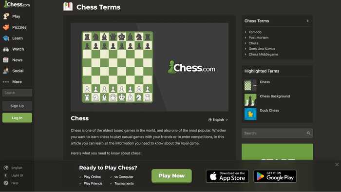 Everything you need to know about chess