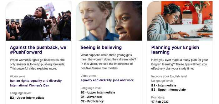 How does British Council work