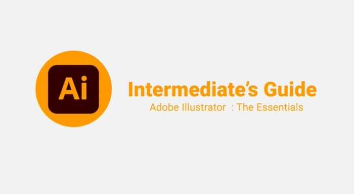 Intermediate Adobe Illustrator course