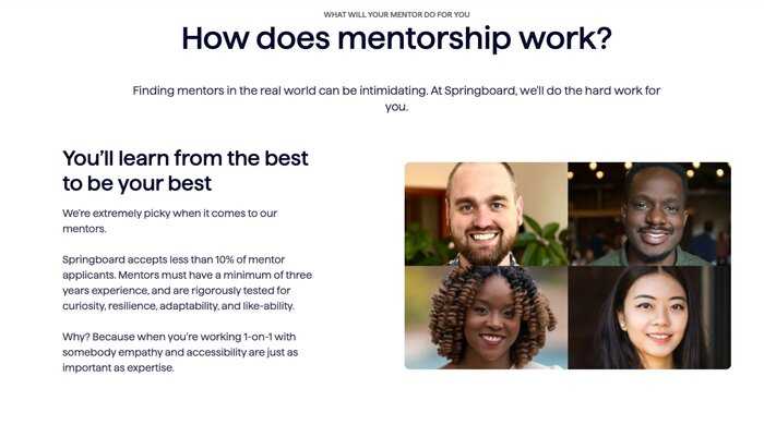 Springboard mentoring