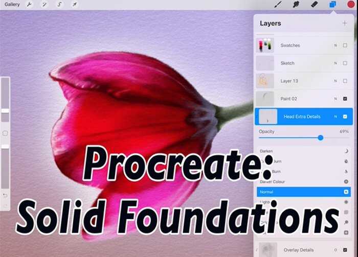 Procreate: Solid Foundations