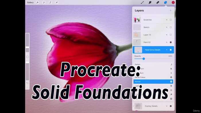 Udemy foundation procreate course