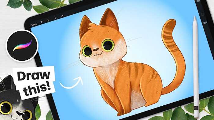 Best Online Procreate Courses (2023) - Learnopoly