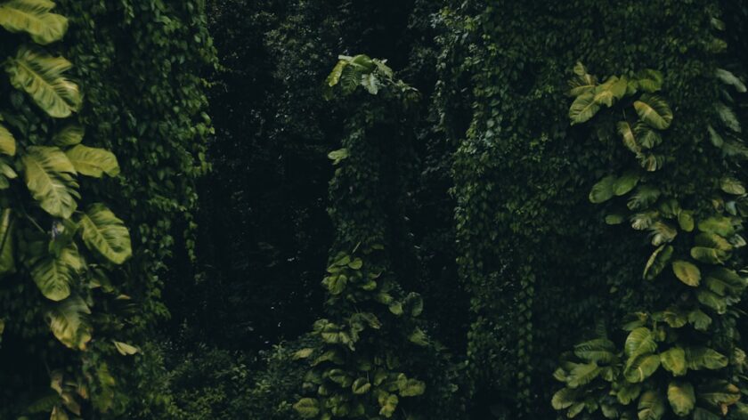 What is the MasterClass Black Friday promo deal?