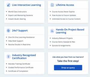 Edureka Review - Is Edureka Worth It? (2024) - Learnopoly