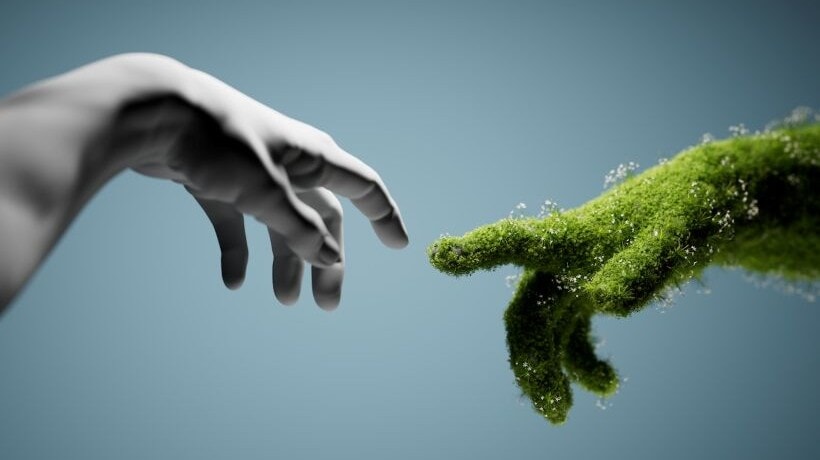 Building Climate Competence With Immersive Learning