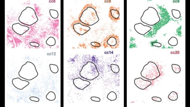 mit CellLENS tool