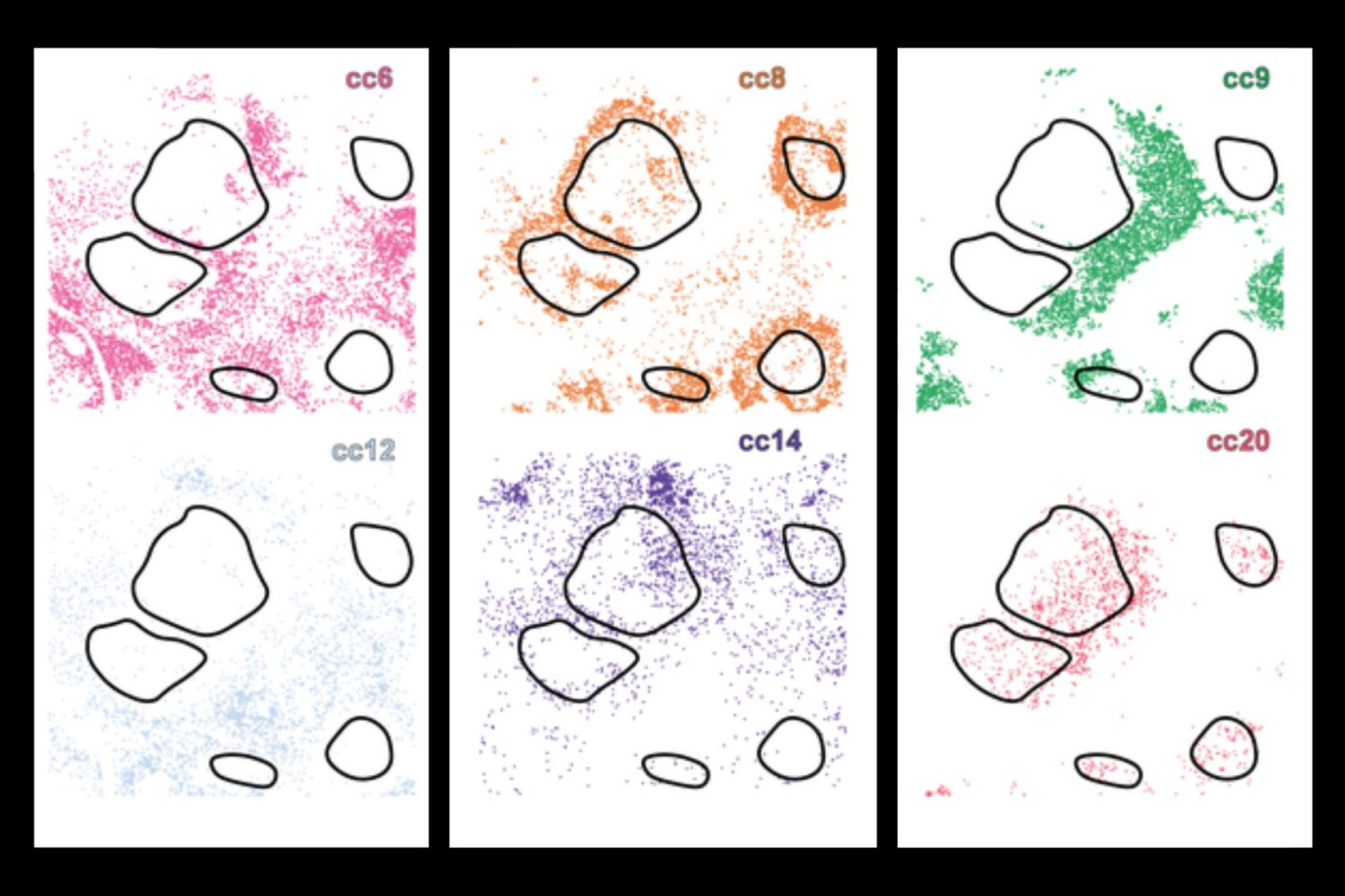 mit CellLENS tool