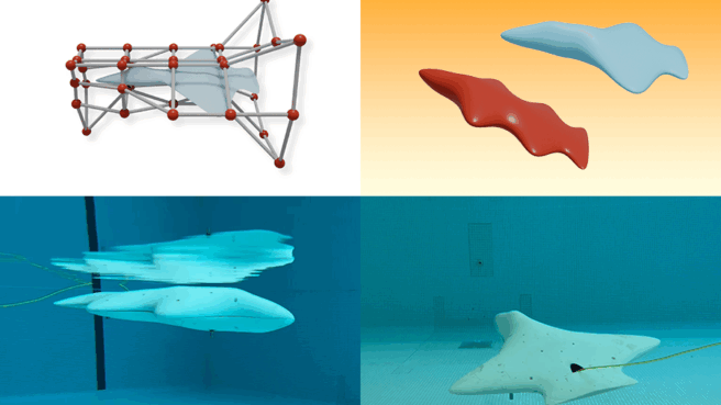 mit auv Gliders
