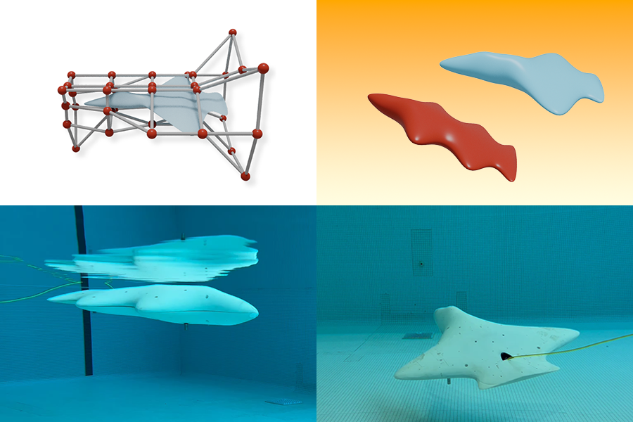 mit auv Gliders