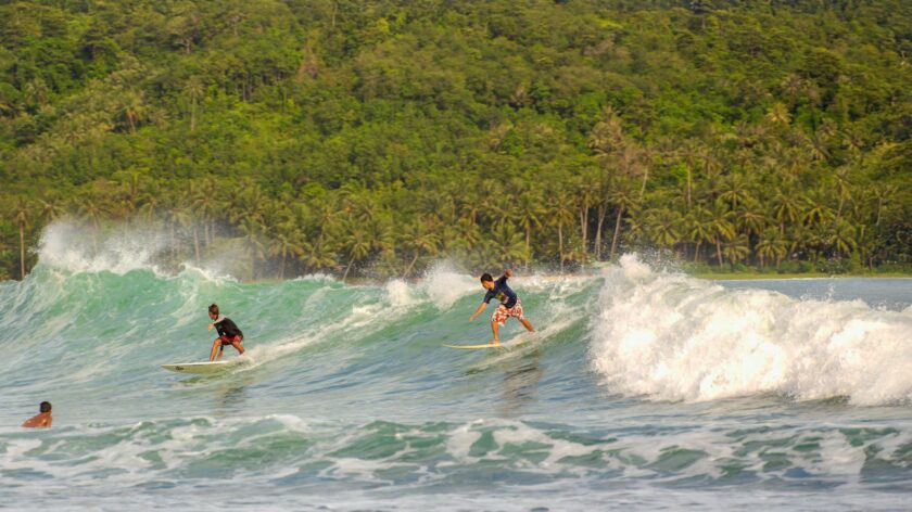 Surfers riding waves in a tropical paradise with lush forest backdrop.