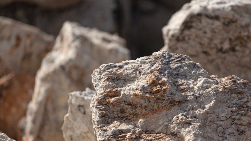 Critical Soft Skills