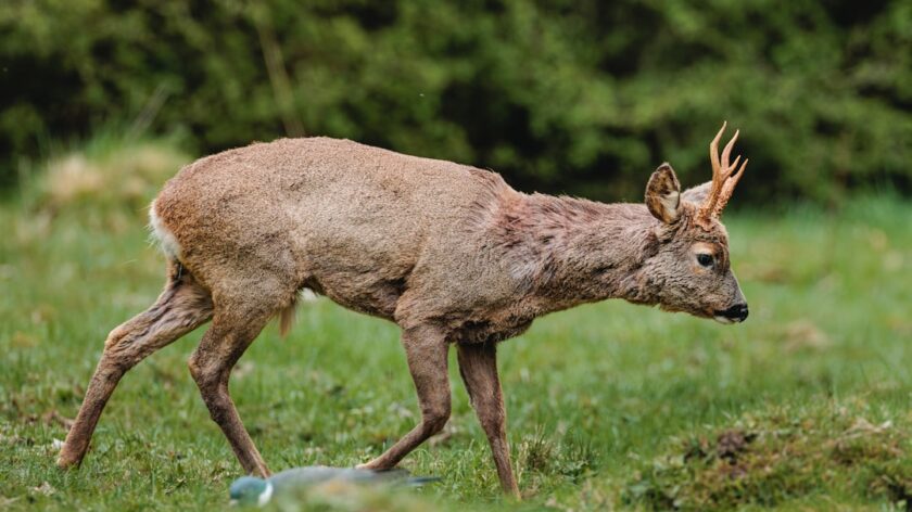 What Does a Big Data Specialist Do?