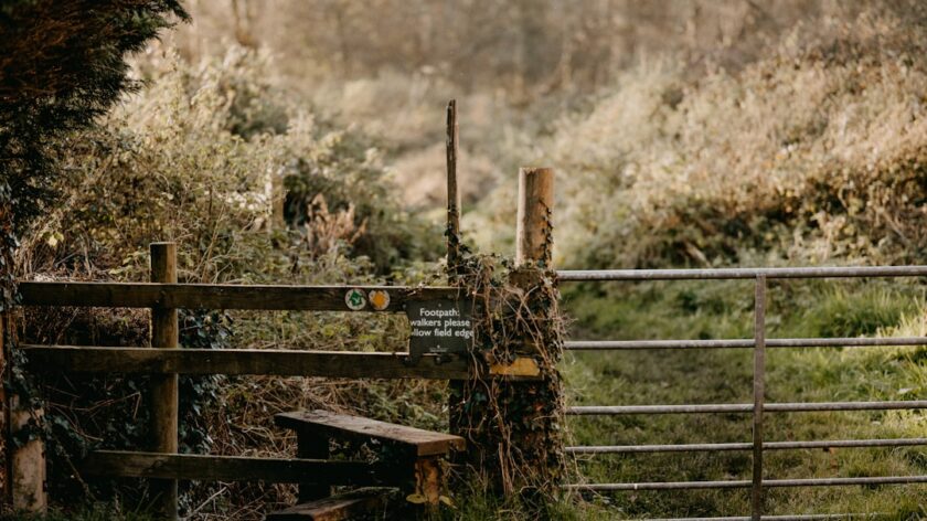 Career Pathways and Growth