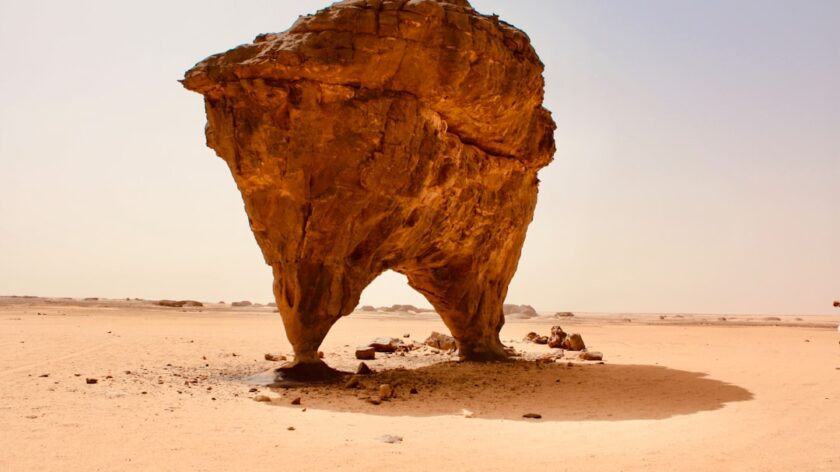 Stay Engaged with Interactive Learning