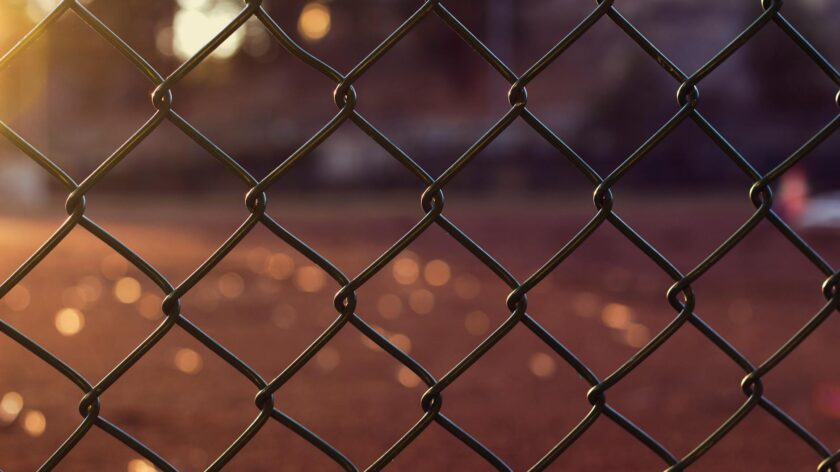 A close-up shot of a chain link fence with warm sunlight and soft bokeh background.