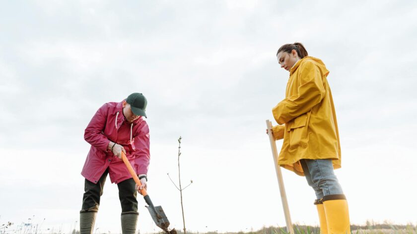 Two individuals planting a tree on a cloudy day, illustrating teamwork and environmental efforts.